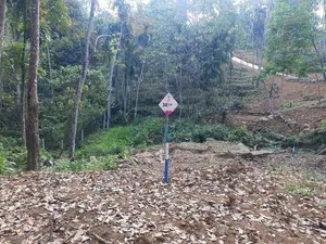 Residential land for sale in Nelundeniya Alawwa Road