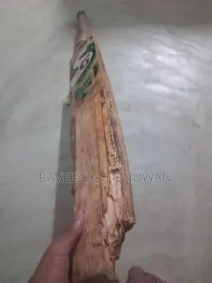 Cricket Set