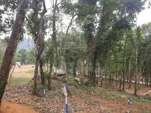 Land for sale in Nelundeniya