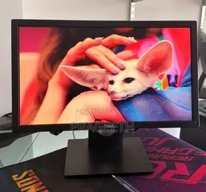 Dell 20” LED Monitor
