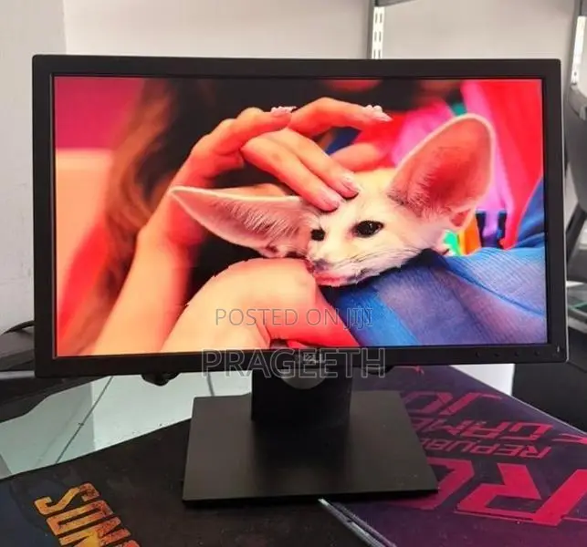 Dell 20” LED Monitor