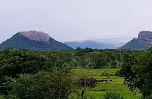 46 P Land in Sigiriya, Close to Aliya Hotel Habarana