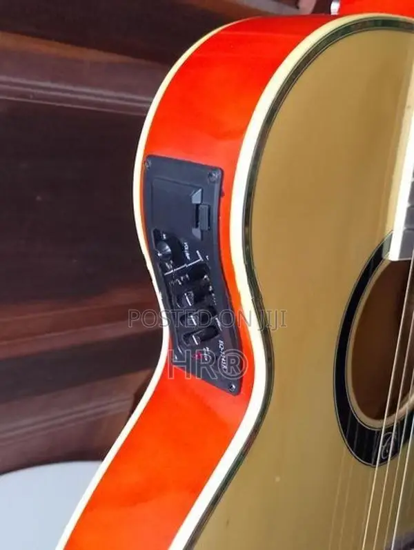 Semiacoustic Guitar