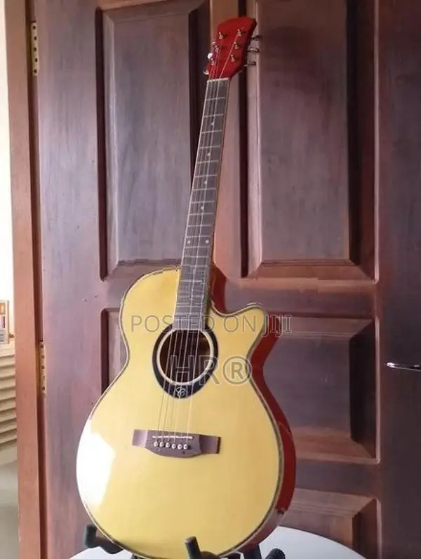 Semiacoustic Guitar