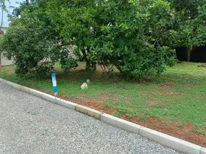 නේවාසික බිම් කොටස් විකිණීම නවල