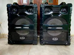 Olik 15-Inch Professional Active Audio System
