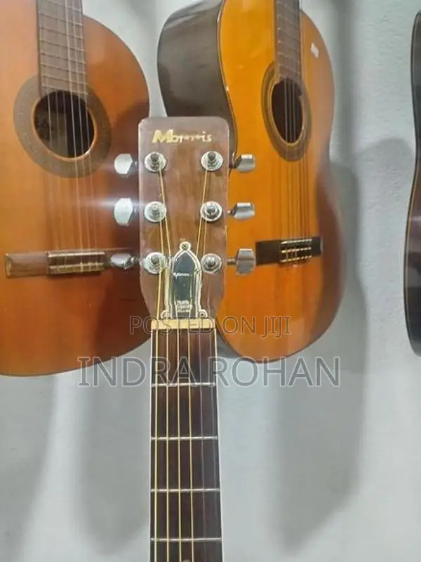 Acoustic Guitar