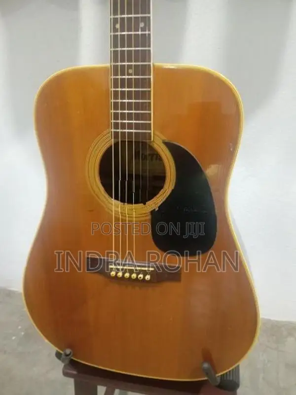 Acoustic Guitar
