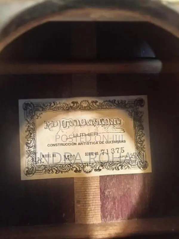Acoustic Guitar