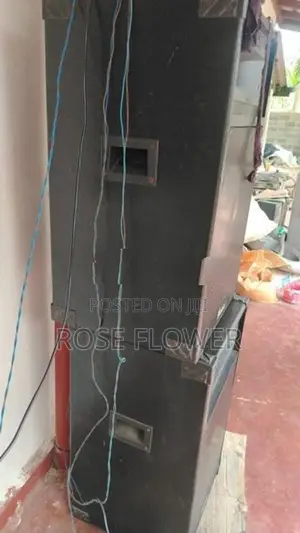Denisi 15 Inch Speaker
