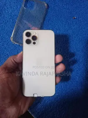 Apple iPhone 12 Pro (Used)