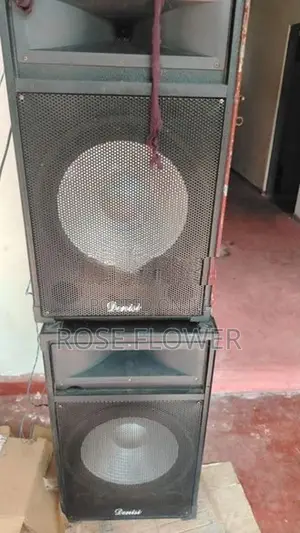 Denisi 15 Inch Speaker