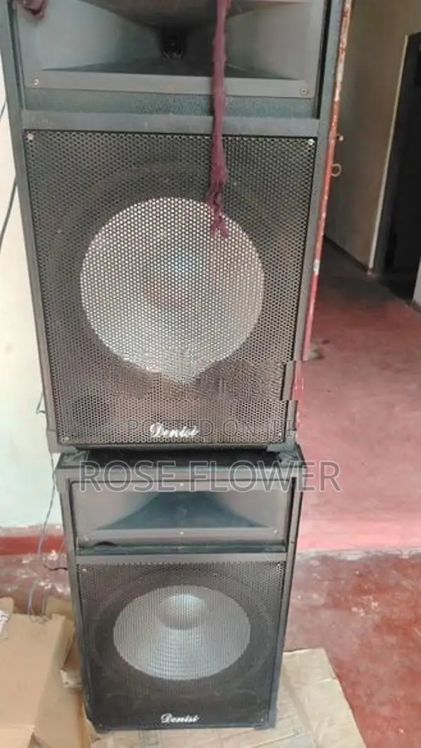 Denisi 15 Inch Speaker