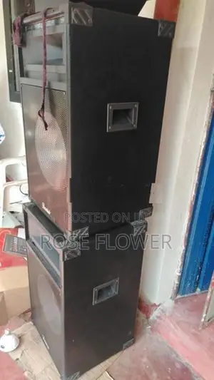 Denisi 15 Inch Speaker