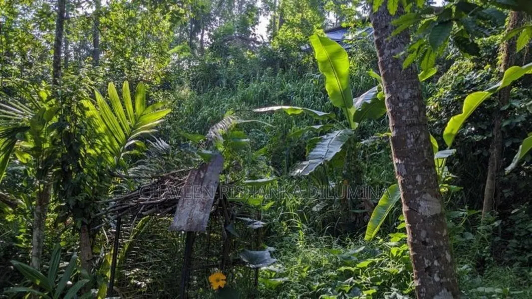 Land For Sale Badulla