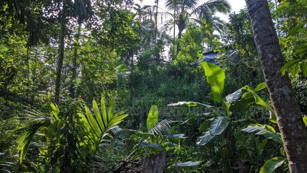 Land For Sale Badulla