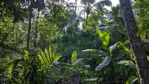 Land For Sale Badulla