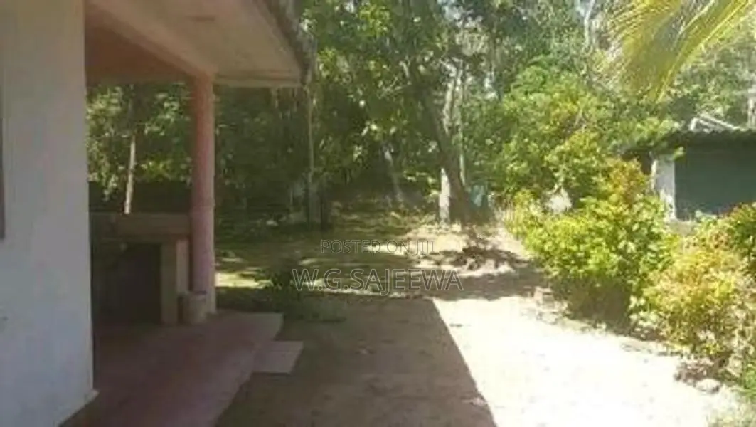 Commercial House Rent in Ja Ela - Main Road Facing