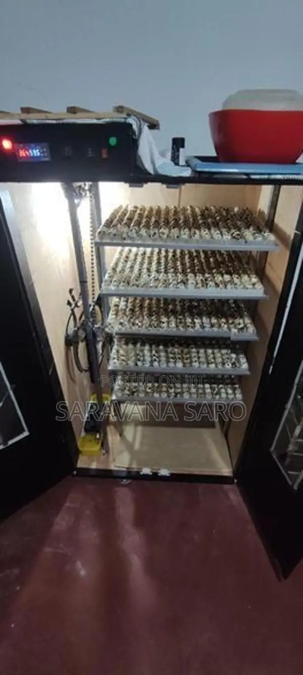 1105 Eggs Quail Incubator with Hatcher