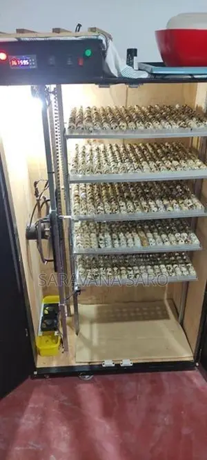 1105 Eggs Quail Incubator with Hatcher