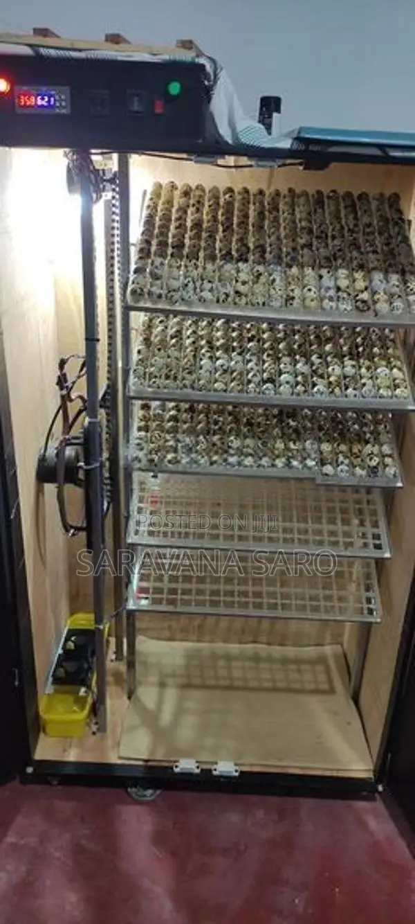 1105 Eggs Quail Incubator with Hatcher