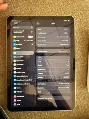 Apple iPad