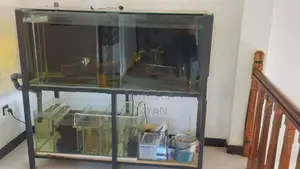 Fish Tank With Accessories