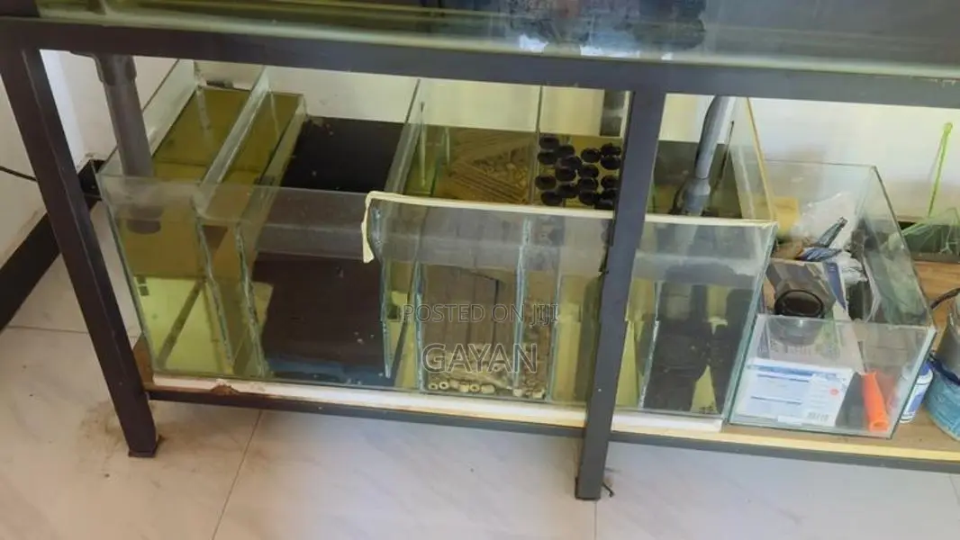 Fish Tank With Accessories