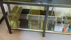 Fish Tank With Accessories