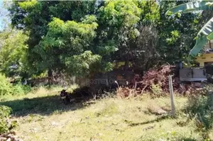 Valuable Land For Sale In Trincomalee Town