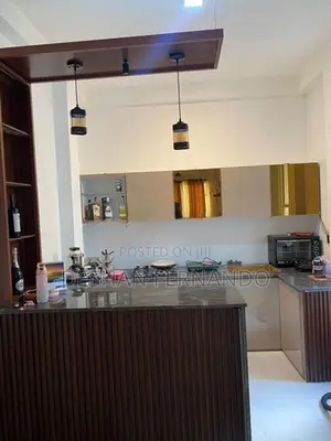 MODERN IMPORTED HIGH GLOSS PANTRY CUPBOARDS