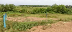 Raigama Land for Sale