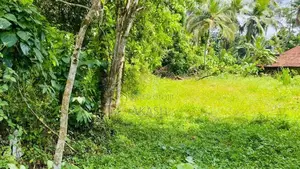 Land For Sale In Kadawatha