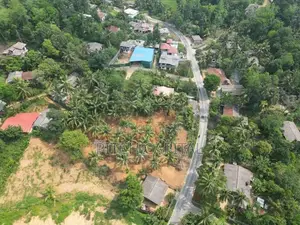 දිද්දෙනිය බස් පාරට මුහුණලා වටිනා ඉඩමක් විකිණීමට ඇත