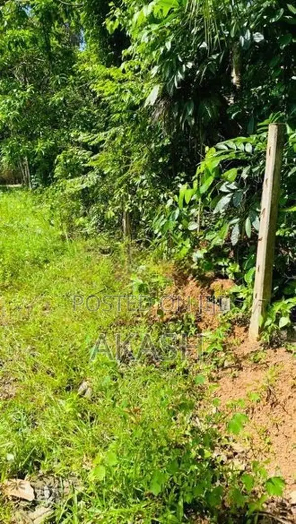 Land For Sale In Kadawatha