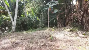 Land for Sale in Warakapola Area