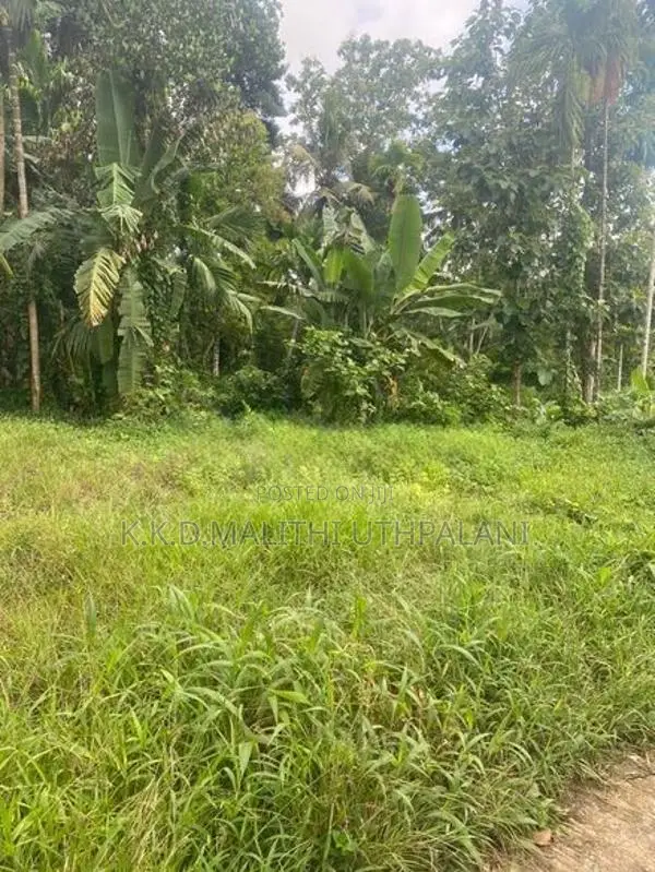 Land For Sale Mathara