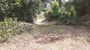 Land for Sale in Warakapola Area