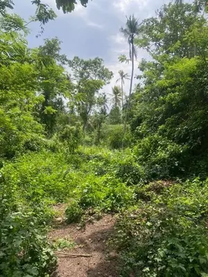 Land For Sale Mathara