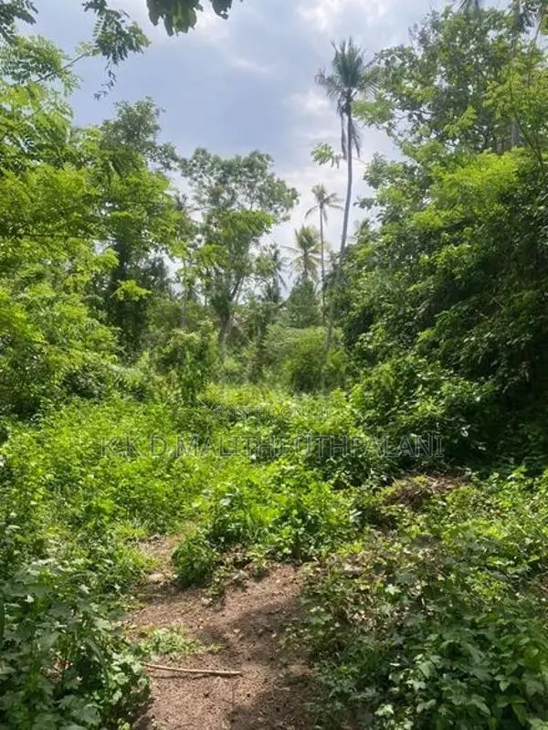 Land For Sale Mathara