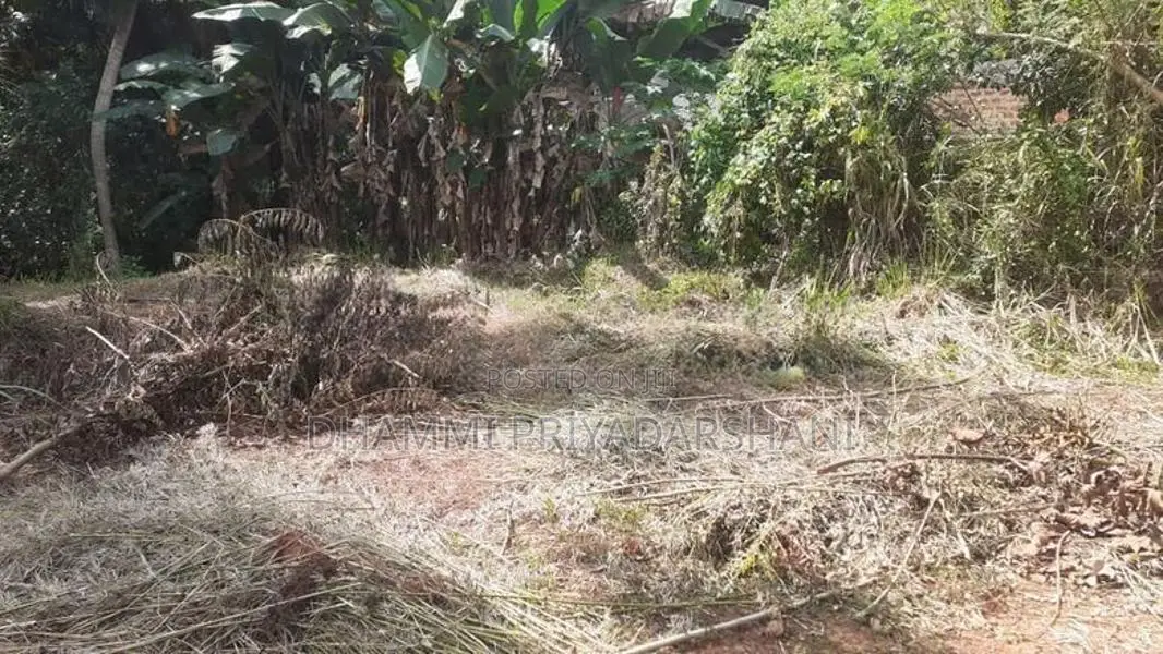 Land for Sale in Warakapola Area
