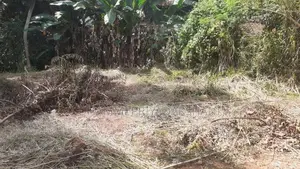 Land for Sale in Warakapola Area