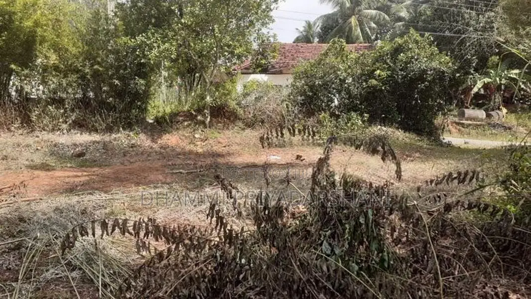 Land for Sale in Warakapola Area