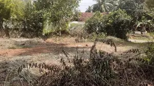 Land for Sale in Warakapola Area