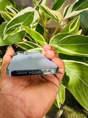 Apple iPhone 13 Pro (Used)