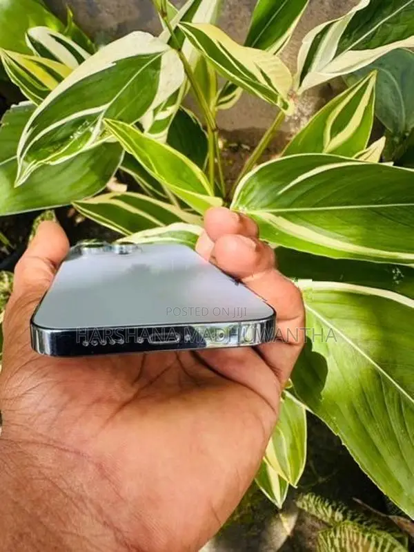 Apple iPhone 13 Pro (Used)