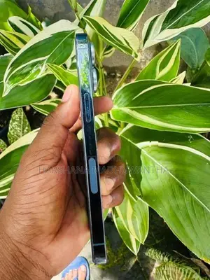 Apple iPhone 13 Pro (Used)