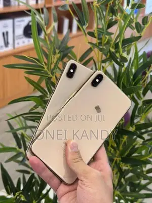 Apple iPhone XS Max 64GB (Used)