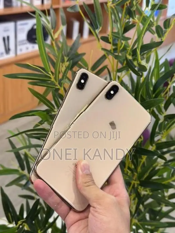 Apple iPhone XS Max 64GB (Used)