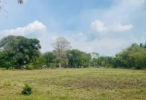 Land for Sale මහව